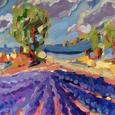 Lavender Fields Provence By Jeffrey Pratt