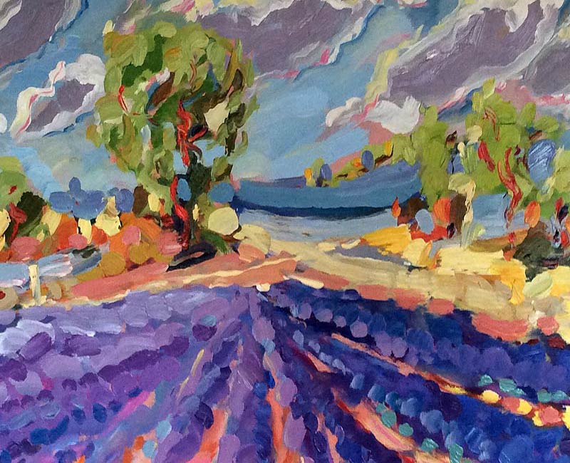 Lavender Fields Provence By Jeffrey Pratt
